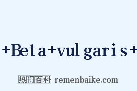 +Beta+vulgaris+是什么意思的图片